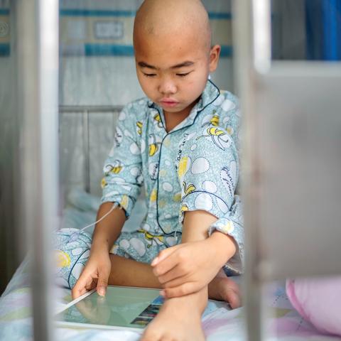 小森生活灰羊高效采集攻略:揭秘最佳地点与刷新时间 小森生活灰羊高效采集攻略:揭秘最佳地点与刷新时间