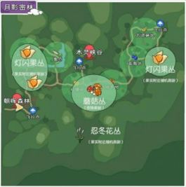 松茸寻踪：揭秘小森生活中的珍稀菌种分布秘境