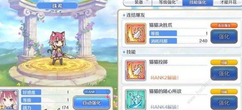 公主连结藏猫队攻略：独家克制阵容搭配技巧解析