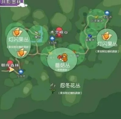 小森生活资源分布攻略：揭秘隐藏宝藏地图位置！