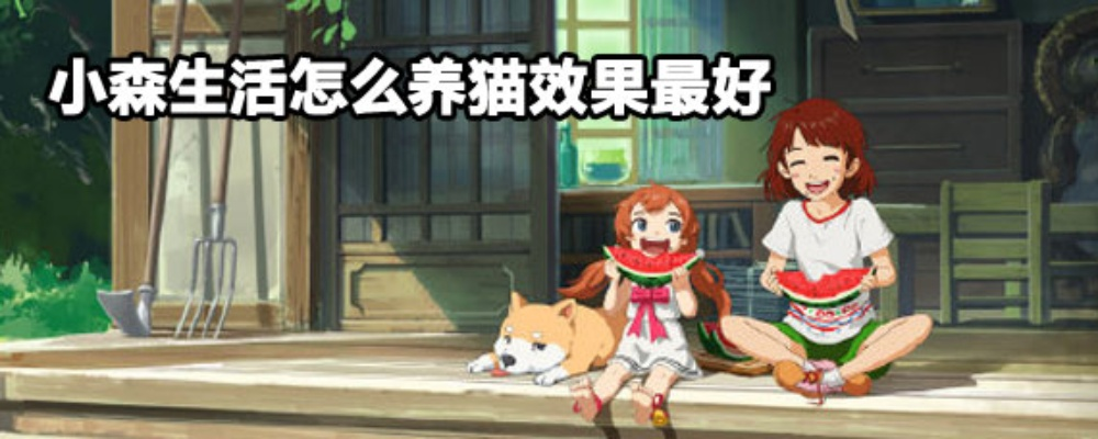 领养小森生活萌猫攻略:流浪猫领养全流程揭秘 领养小森生活萌猫攻略:流浪猫领养全流程揭秘