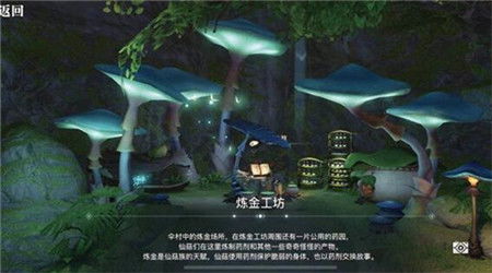 天谕手游茸之森景点攻略：地图核心位置深度解析