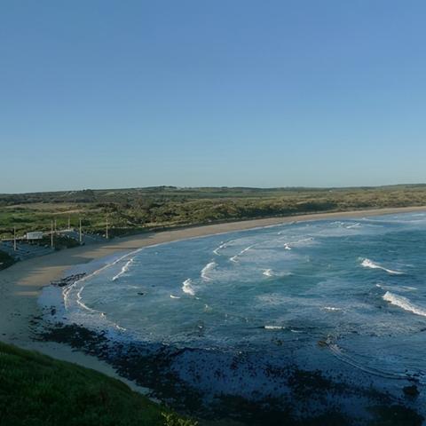 企鹅岛金币快速获取秘籍：解锁海量金币高效攻略