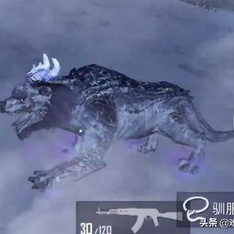 冰雪奇缘！和平精英驯服极寒模式年兽独家技巧揭秘