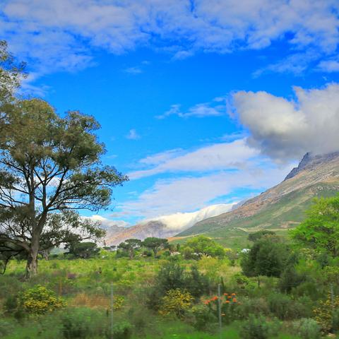 动物安排员22关三星通关秘籍：高效攻略助你轻松拿星