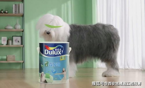 脑洞大侦探隐藏第10关破解攻略:揭秘绝密过关技巧,轻松解锁! 脑洞大侦探隐藏第10关破解攻略:揭秘绝密过关技巧,轻松解锁!