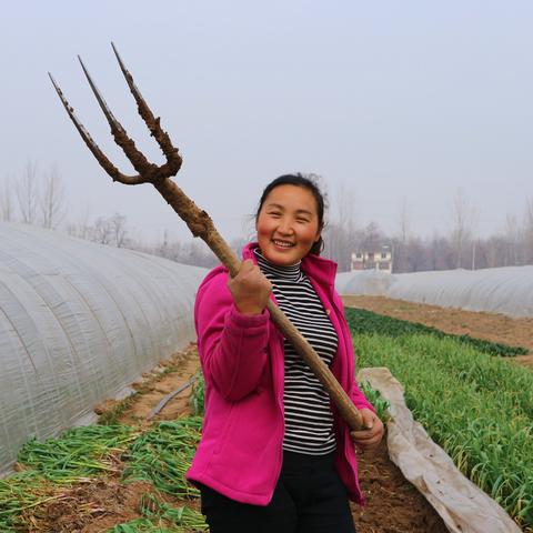 《花木兰》第五关不吃蔬菜通关秘籍，轻松解锁隐藏奖励攻略！