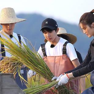 奶牛镇时光告白秘诀：花束赠送攻略大揭秘
