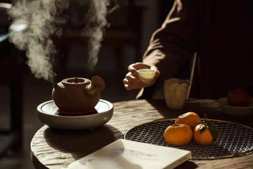 《第二人生智商攻略》揭秘:全方位人物属性智商提升技巧大公开 《第二人生智商攻略》揭秘:全方位人物属性智商提升技巧大公开