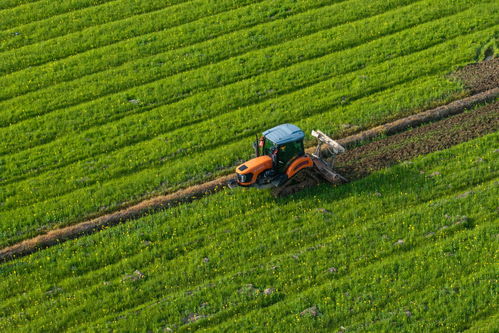 《希望之村农田合成攻略》速学秘籍：高效获取攻略分享技巧