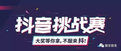 抖音脑洞挑战11关过马路技巧揭秘：轻松助老安全行攻略大公开