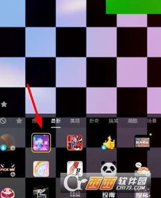 抖音脑洞挑战第6关攻略：揭秘最小动物通关秘籍！