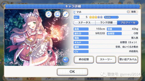 真阳专武属性解析：公主连结角色专属武器技能深度剖析