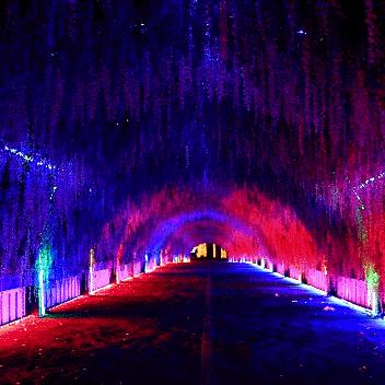 十大热门成人游戏盘点：揭秘最佳游戏体验攻略