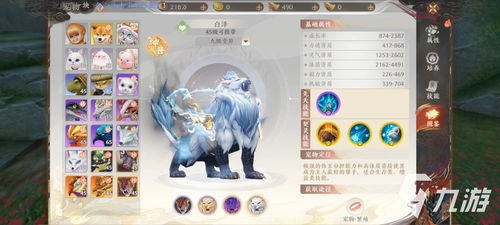 《天龙八部2》穷奇神兽养成秘籍：飞龙战天必备攻略！