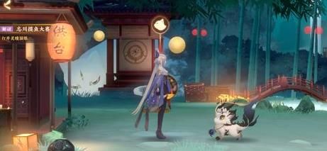 名士猫进化攻略揭秘：忘川风华录高效进阶技巧分享