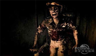 十大精选耐玩恐怖游戏盘点，揭秘热门惊悚游戏排行