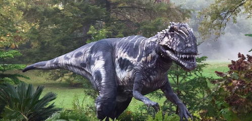 六角恐龙孵化攻略：火龙升级必备无脑技巧解析