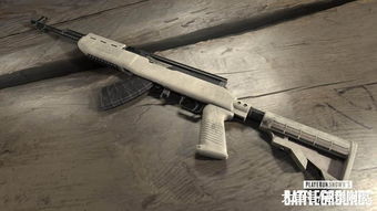 映月城武器对比:电子姬火步枪VS水手枪,性能解析与选购指南 映月城武器对比:电子姬火步枪VS水手枪,性能解析与选购指南