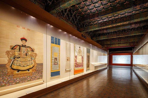 松茸功效揭秘:侠客必备的神秘食材大解析 松茸功效揭秘:侠客必备的神秘食材大解析