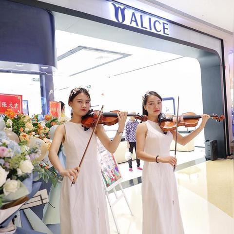 魅影再临爱丽丝英雄属性解析，深度技能攻略揭秘