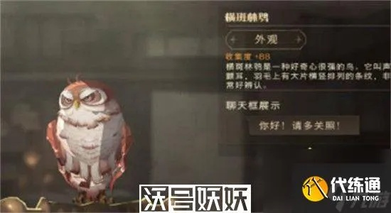 哈利波特觉醒猫头鹰获取攻略：揭秘高效获取秘籍