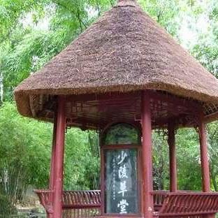 千秋辞阵容搭配绝招！高效阵容攻略分享，轻松提升战斗力