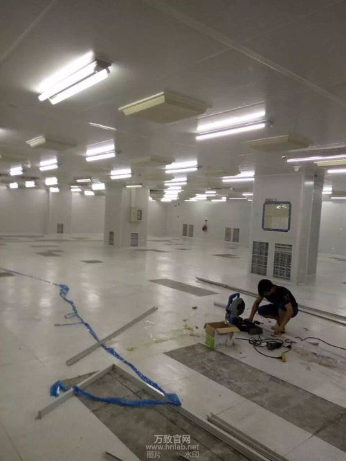 班主任模拟器124关体温测量通关技巧揭秘！