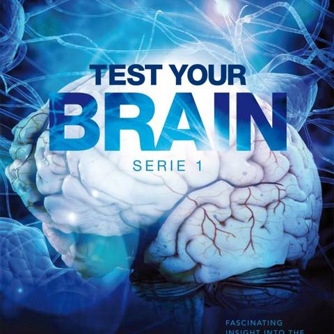 Brain Test第40关破解技巧揭秘：最高数字攻略助你轻松通关