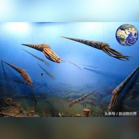 墨迹章鱼捕捉与培养技巧，海岛纪元攻略秘籍大公开