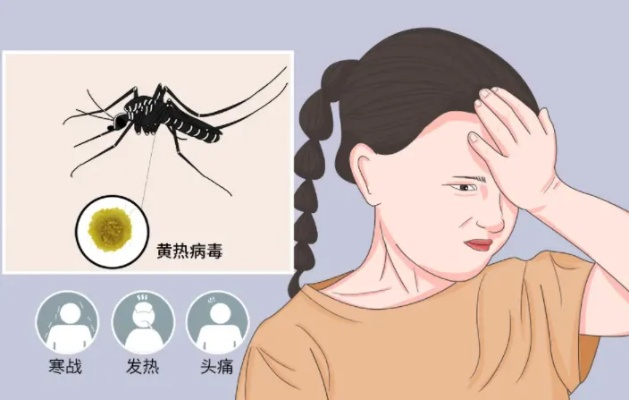 一小时人生黄热病快速治愈与预防秘籍攻略全解析