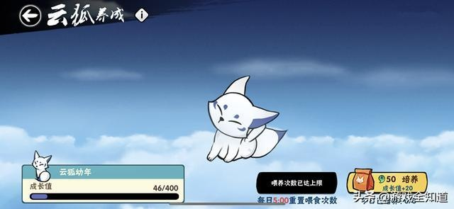 忍者必须死3探险猫猫技能深度揭秘:解锁全新战斗策略 忍者必须死3探险猫猫技能深度揭秘:解锁全新战斗策略