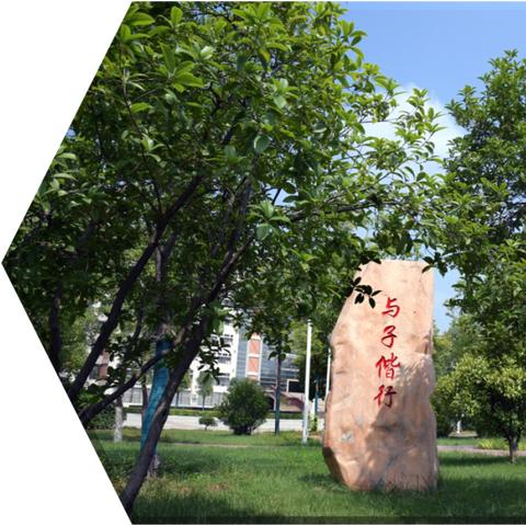 王于兴师项羽虞姬队攻略：独家搭配技巧深度解析