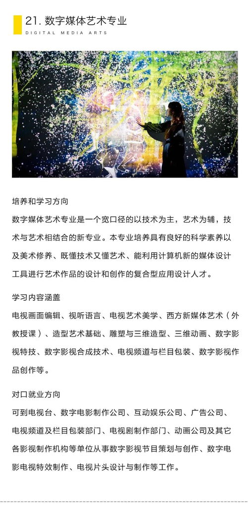 《浮石之旅》新手必看！避开十大坑的独家攻略秘籍