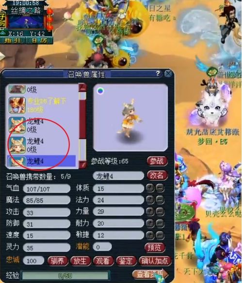 梦幻新诛仙深度攻略：揭秘锦鲤儿与三城主新仙友魅力