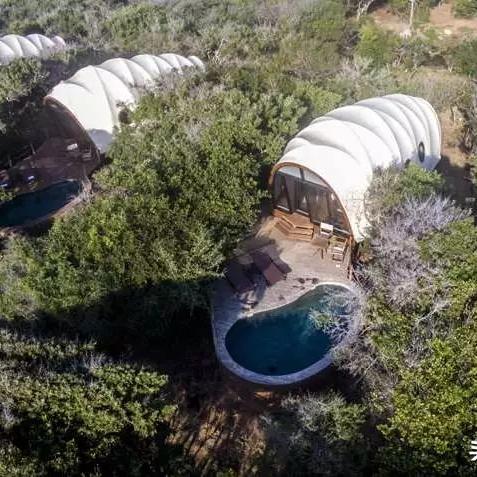 动物餐厅必看!独家揭秘摊主到访黄金时间表 动物餐厅必看!独家揭秘摊主到访黄金时间表