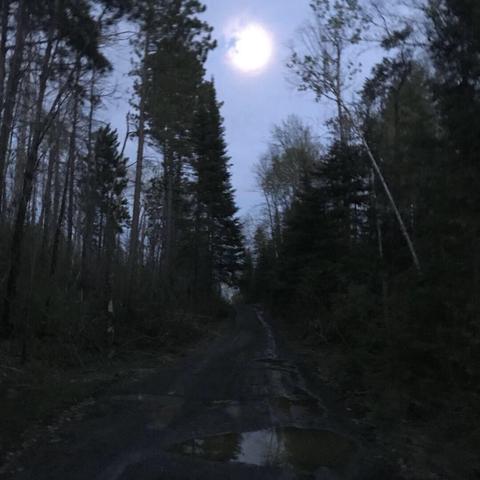 荒野更新引众怒？深度优化后，怪物猎人体验再升级