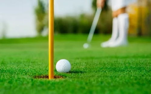 热门迷你高尔夫游戏排行，揭秘2024年度最受欢迎的球道挑战！