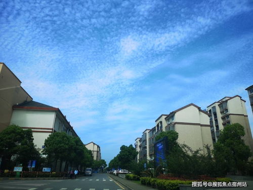 万圣节宫子专武升级！布丁属性技能解析，万圣节布丁新价值揭秘