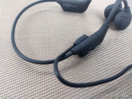 十大单线剧情游戏盘点：揭秘必玩经典，沉浸式体验新高度