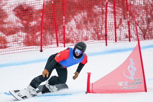 单板滑雪游戏盘点:揭秘十大热门人气之作,畅玩必备攻略! 单板滑雪游戏盘点:揭秘十大热门人气之作,畅玩必备攻略!