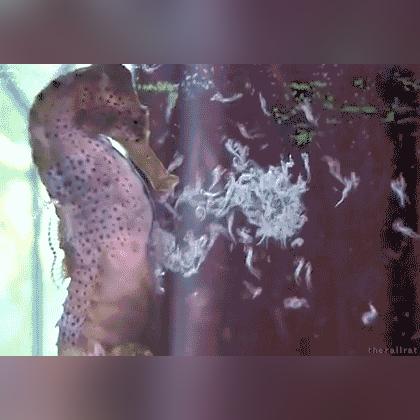 最囧游戏4第13关攻略：巧妙避开障碍，轻松通关技巧揭秘