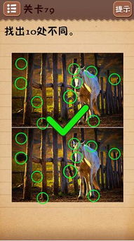 最囧游戏4第10关通关秘籍：排队玩家必看高效攻略！