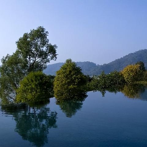 水力发电入门必看！电的形成原理通关攻略，轻松解锁第一关！