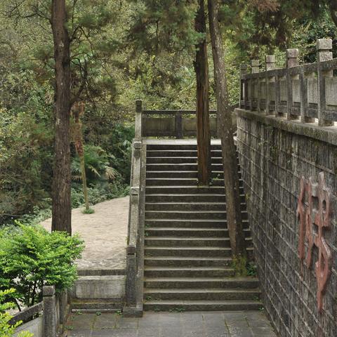 烟雨江湖跋山涉水天赋解析：深度揭秘其强大效果与实战攻略