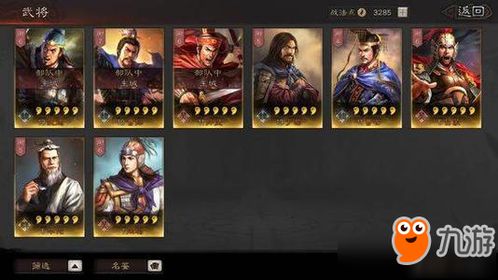 三国志战略版马良实战攻略：阵容搭配技巧解析，轻松提升战斗力