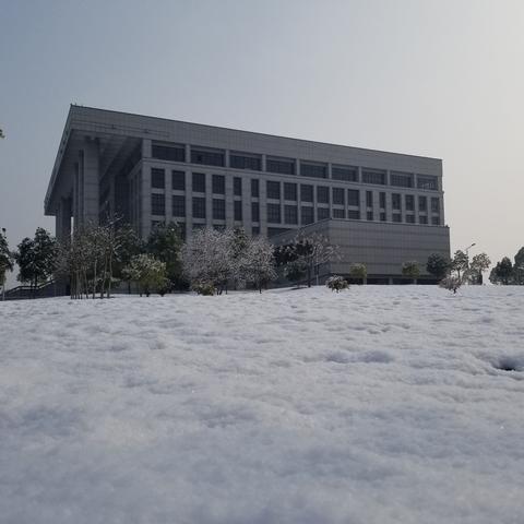 雪游戏盘点：热门人气排行，解锁冬季娱乐新选择