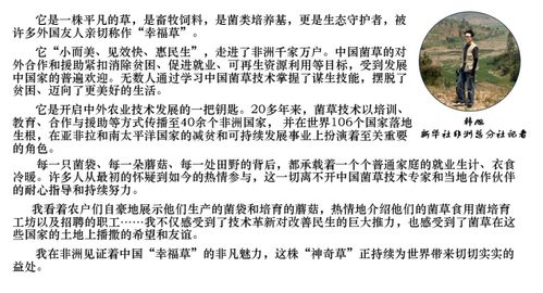 山海镜花山膏技能解析：N卡山膏属性图鉴深度剖析