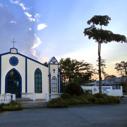 小花仙手游高效种植技巧:性价比之选,打造最佳花田攻略 小花仙手游高效种植技巧:性价比之选,打造最佳花田攻略