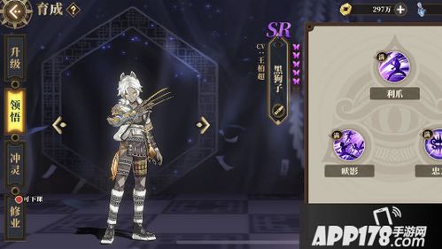 山海镜花天狐技能解析:SR级实力大揭秘,高效攻略攻略必备 山海镜花天狐技能解析:SR级实力大揭秘,高效攻略攻略必备